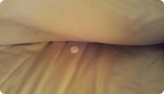 IMAG2564