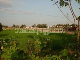 tanah sawah dijual di jogja