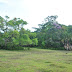 TAMAN NASIONAL UJUNG KULON