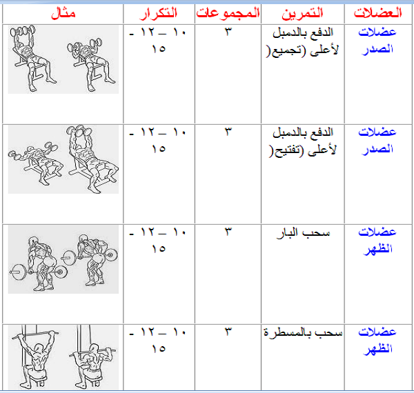 برنامج تدريب جيم للمبتدئين