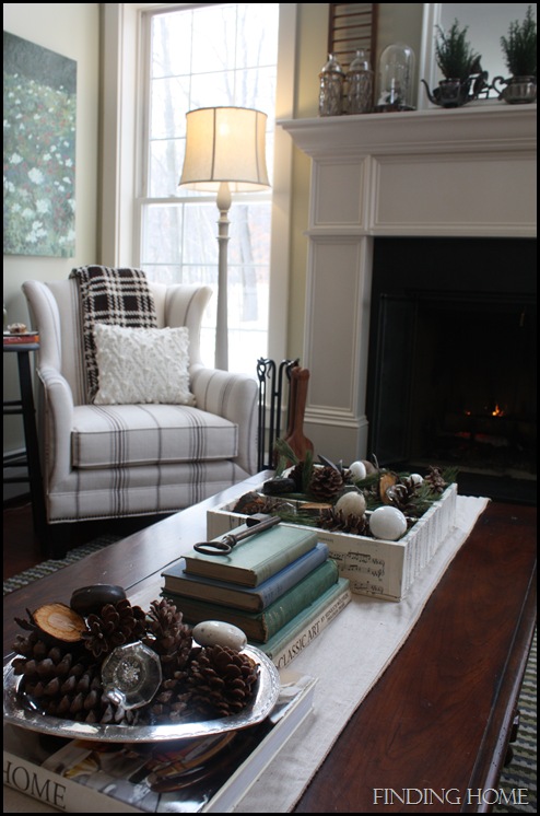 Winter Family Room 111
