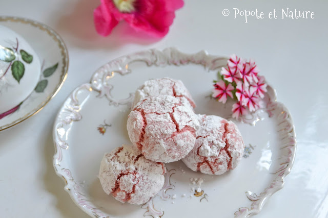 Amaretti aux biscuits de Reims 