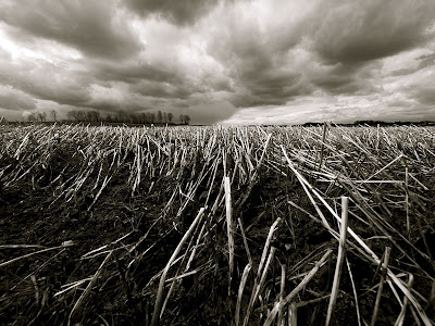 Black And White Cloudy Farm Picture