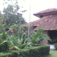 View album