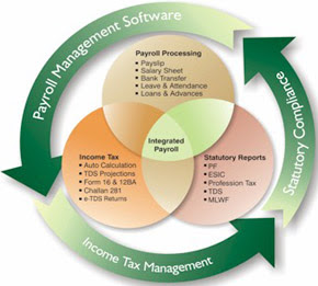 Online Payroll Software in Delhi