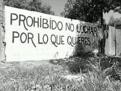 Graffiti : Prohibido no luchar por lo que quieres