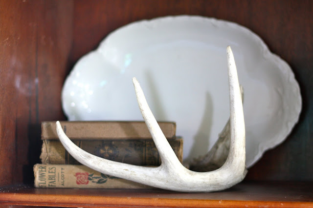 antler and antique books