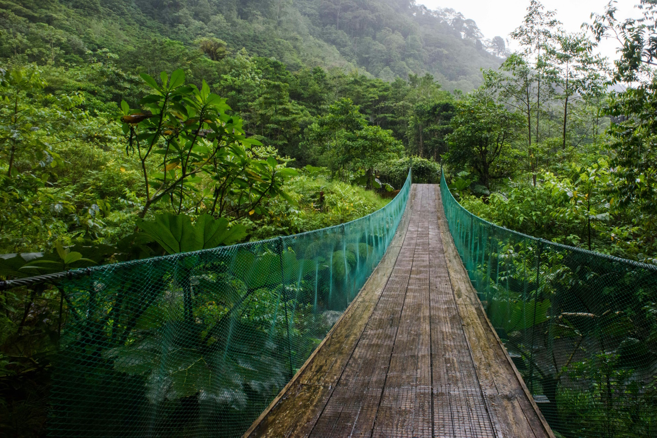 When is the Best Time to Travel to Costa Rica?