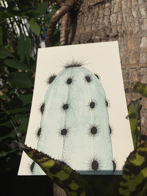 cactus, succulents, garden planters, succulent planters, Miami succulents, gardening, nature, plants, Miami, Miami garden business, garden design, watercolor paintings, art, cactus art, cactus painting