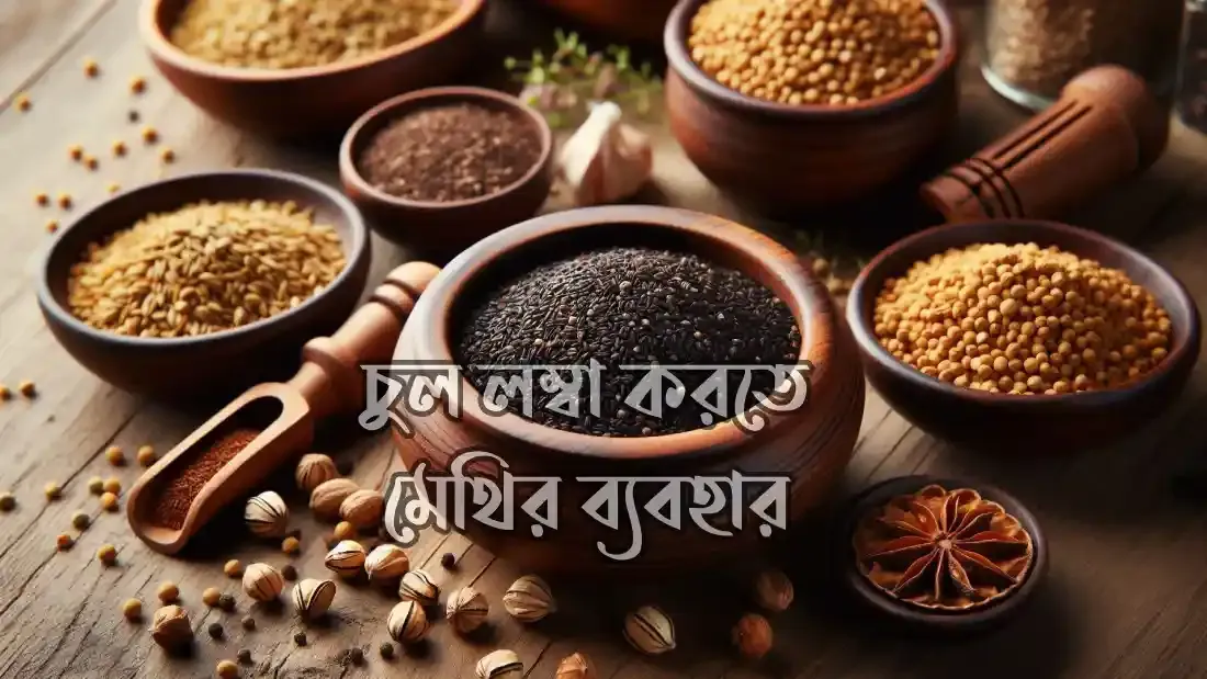 চুল-লম্বা-করতে-মেথির-ব্যবহার