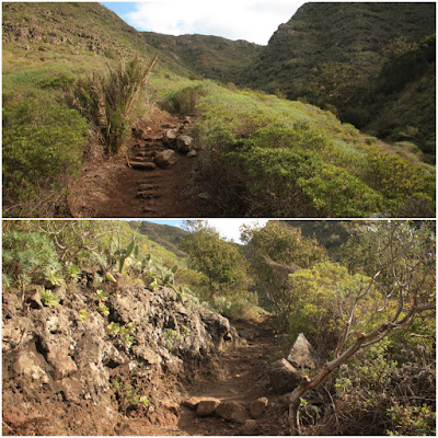 PR-TF-12 BAJAMAR A LA CRUZ DEL CARMEN, sendero en dirección a Cruz del Carmen, sendero paralelo a La Barranquera