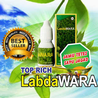 cara mengobati kista dengan herbal labdawara