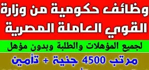 وظائف حكوميه من وزارة القوى العاملة المصريه