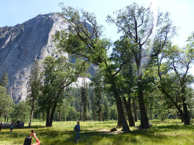 parc national de Yosemite