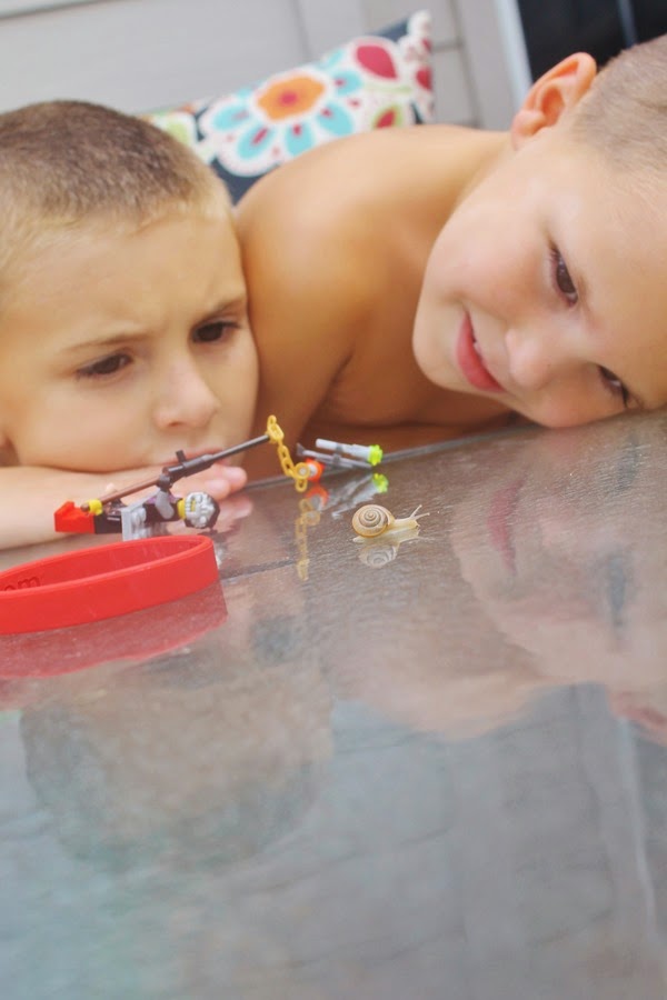 VBS & the snail 014