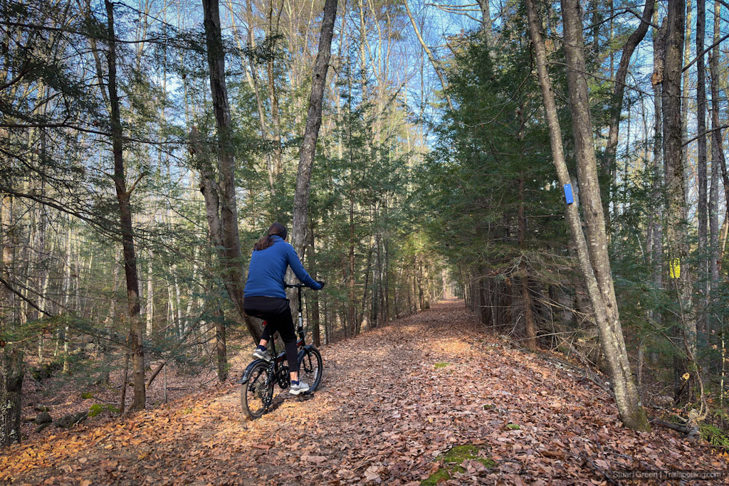 Bicyclist on a flat, forested trail covered in leaves.
