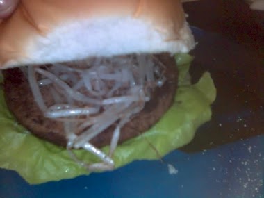 hamburger de soja do ulinux