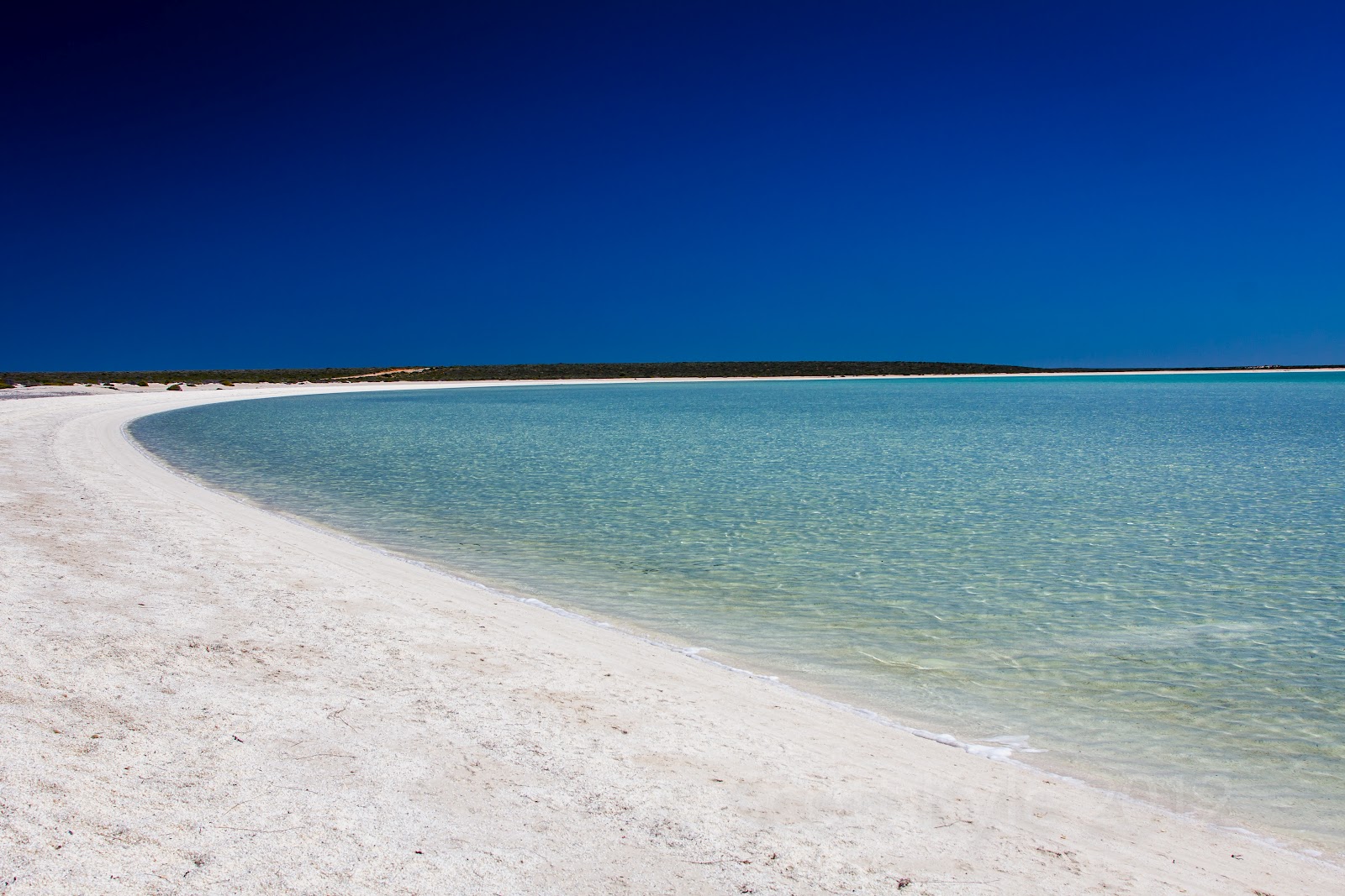 A Trip to Shark Bay & Monkey Mia in Western Australia 