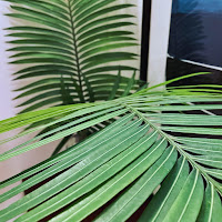 Fronds
