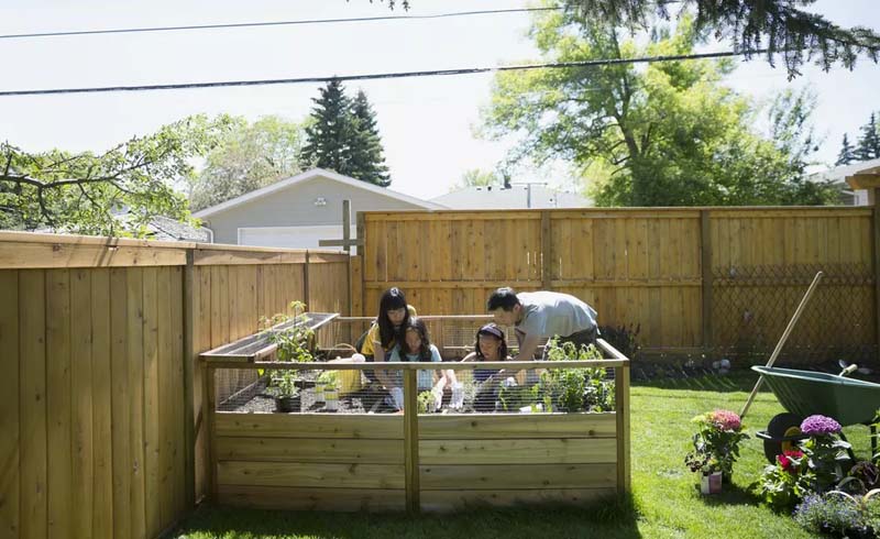 How to Make a Raised Bed Garden