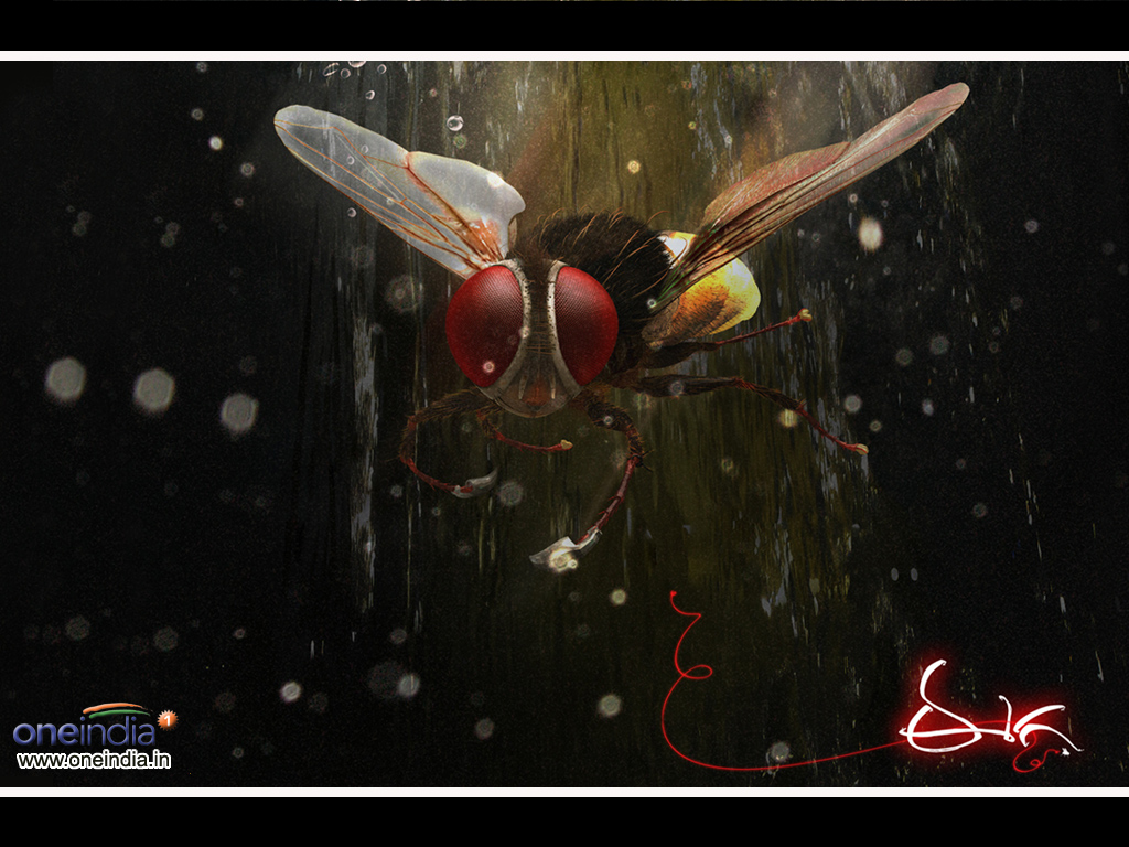 eega movie wallpapers,eega movie wallpapers latest news,eega movie