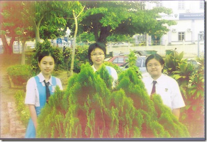 school garden