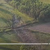 Καβάλα: Πρώτες εικόνες από το σημείο της συντριβής του Antonov (vid)