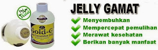 obat kolesterol herbal