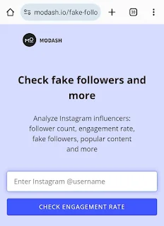 Instagram fake followers check free