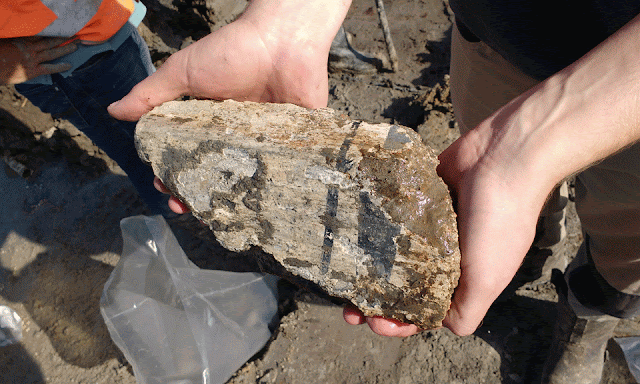 Roman road, artefacts found during digging for new motorway in Netherlands