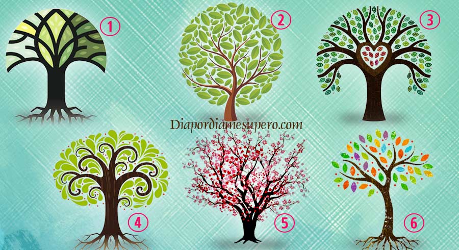 Test: Elige un árbol y aprende sobre las características brillantes de tu personalidad 