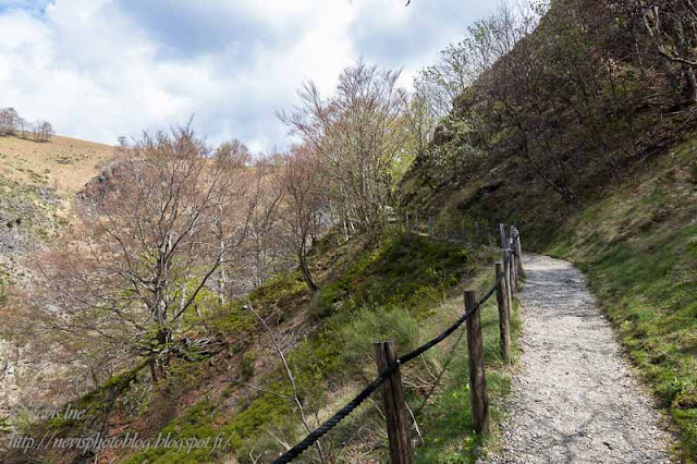 Sentier Ray pic paysage ardeche 1