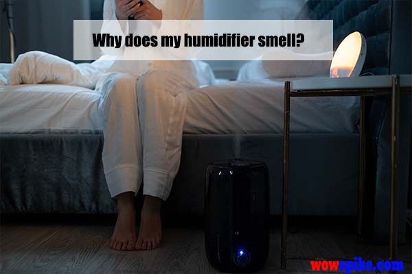why does my humidifier smell