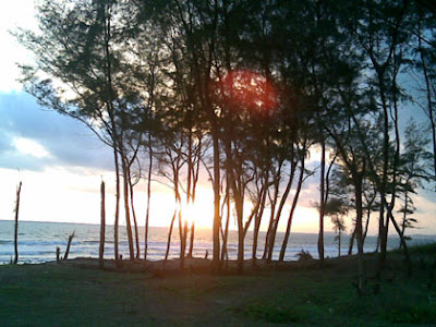 Beach Natural Scenery's Image