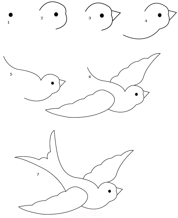 Ceria Menggambar  Burung  1 Belajar Menggambar  