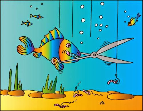 Cartoon Fish Images