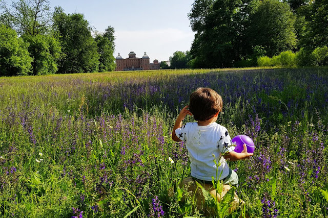 CASTELLO-RACCONIGI-PARCO-FIORITURA