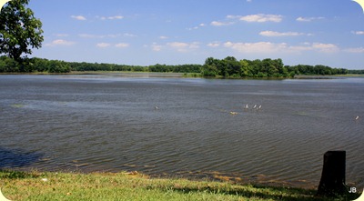 IMG_2474