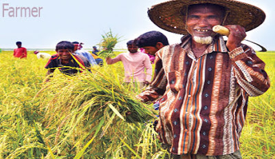 farmer occupation 