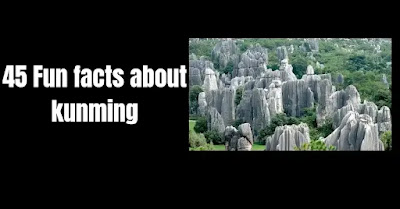 You Won't Believe These Astonishing 45 Fun Facts About Kunming