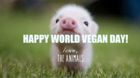 https://www.vegansociety.com/whats-new/events/world-vegan-month-0