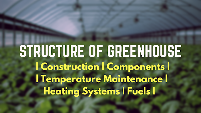 greenhouse definition  greenhouse farming  types of greenhouse  greenhouse effect  how to build a greenhouse  diy greenhouse  uses of greenhouse  how does a greenhouse work  greenhouse design  greenhouse recruiting  Page navigation