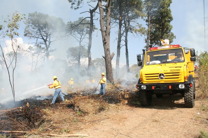 ESTADOS/ Declaran alerta por incendios en Morelos