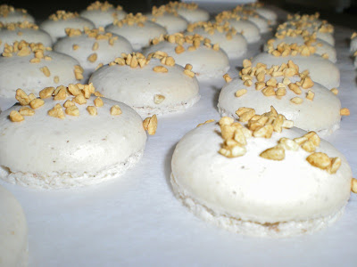 macarons alle nocciole