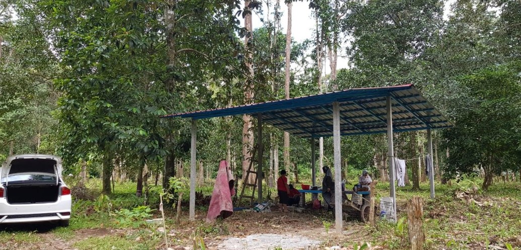 aktiviti keluarga, berkelah dengan keluarga, masak-masak dalam kebun, berkelah