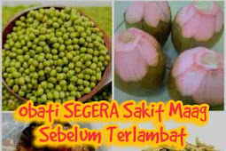 herbal alami untuk mengobati maag akut