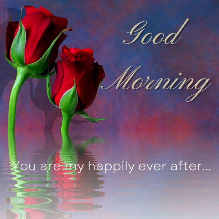 Happy Good Morning Red Rose