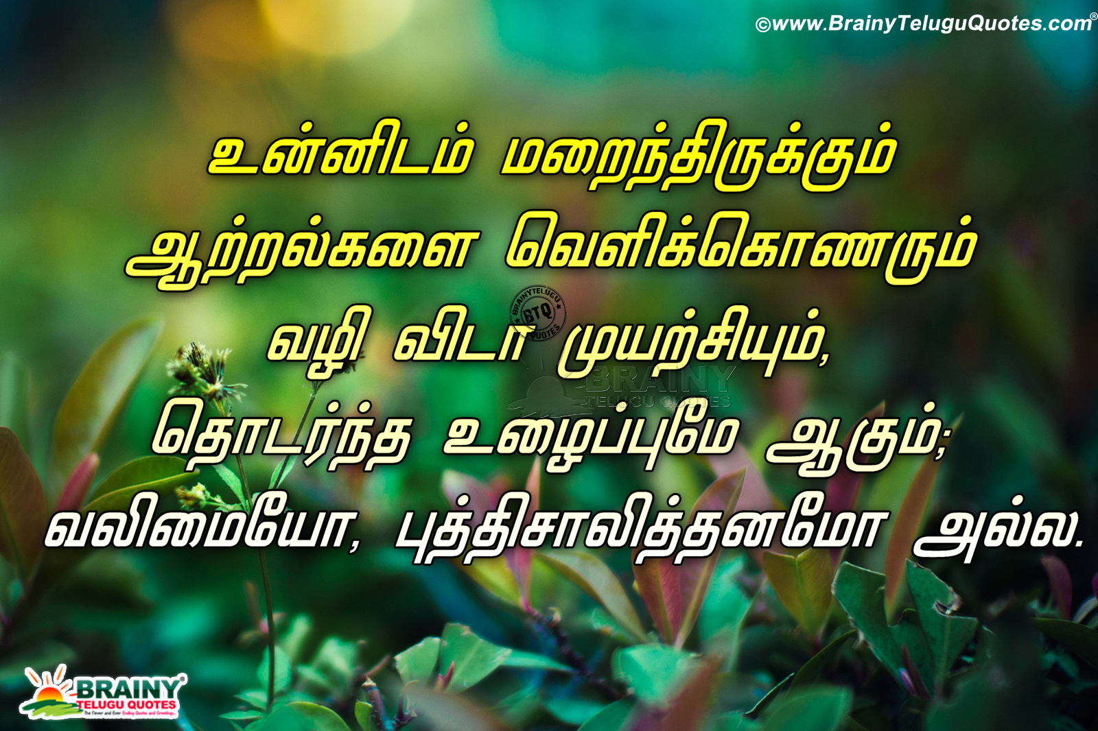 Famous Online Tamil Inspirational Quotes hd wallpapers Free Download