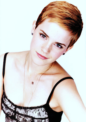 Emma Watson Style Hairstyles, Long Hairstyle 2011, Hairstyle 2011, New Long Hairstyle 2011, Celebrity Long Hairstyles 2012