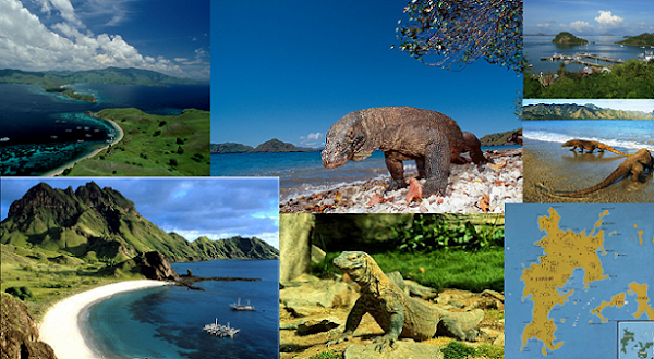 pulau Komodo